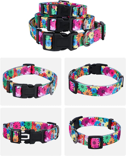 Floral Pattern Dog Collar