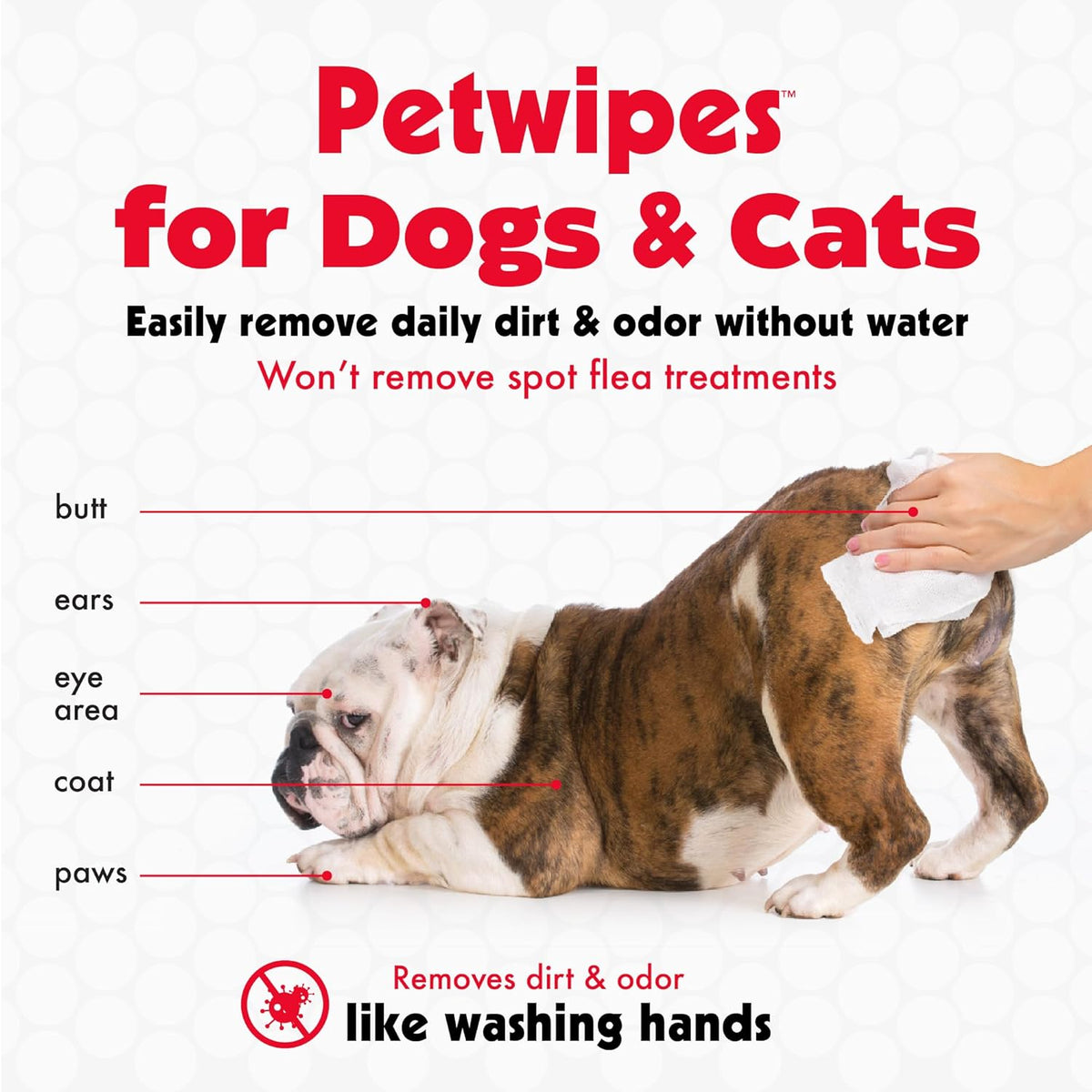 Large Pet Wipes (100Ct)