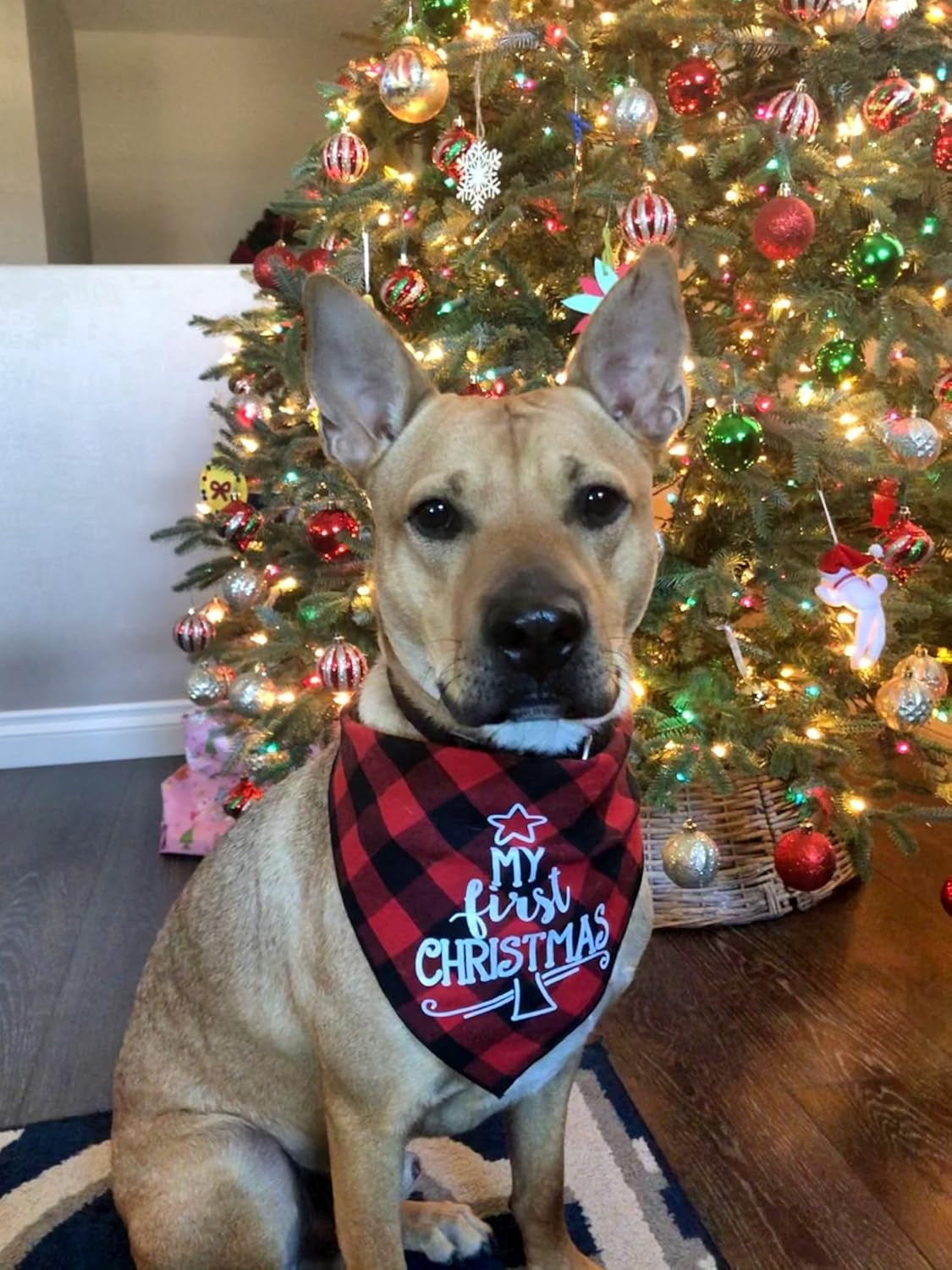 Christmas Bandana, Red Plaid