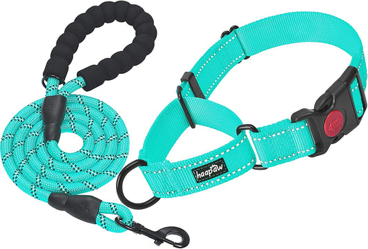 Reflective Martingale Training Collar