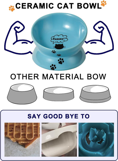 Elevated Cat Food Bowl, Ceramic, Anti-Vomiting Tilt Angle