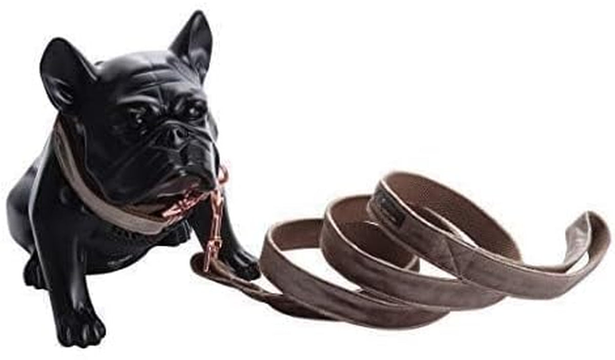 Velvet Collar & Leash Set