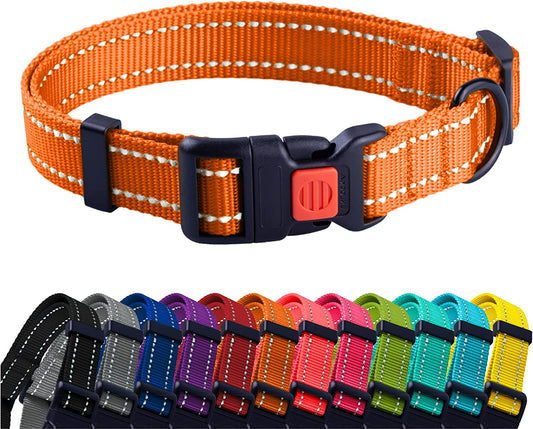 Reflective Nylon Collar