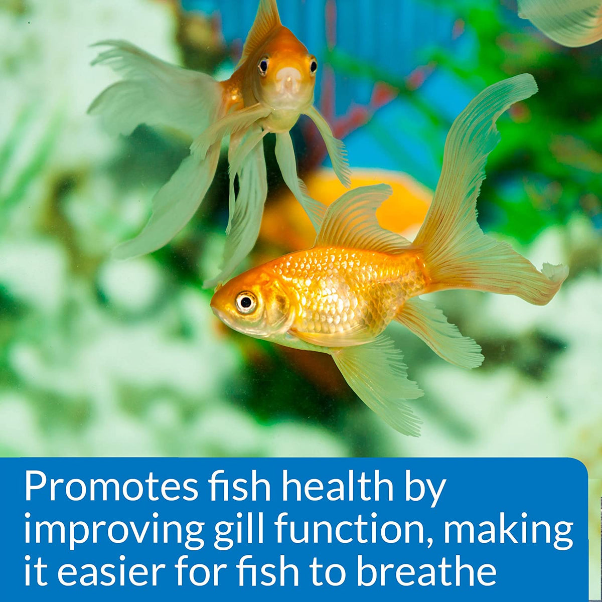 Freshwater Aquarium Salt