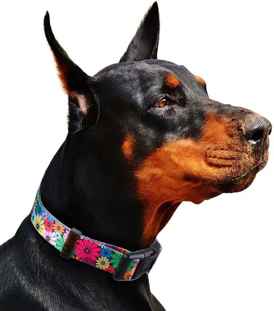 Floral Pattern Dog Collar