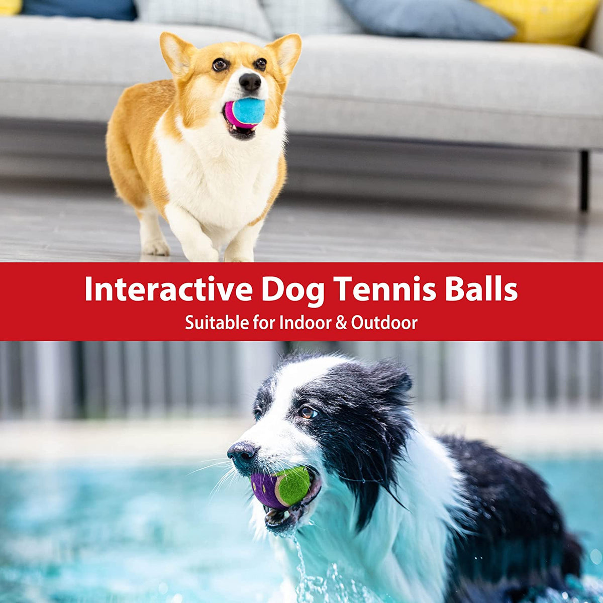 Squeaky Bouncy Tennis Balls (3-Pack)