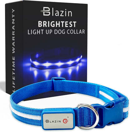 Light up LED Dog Collar, USB Rechargeable Waterproof