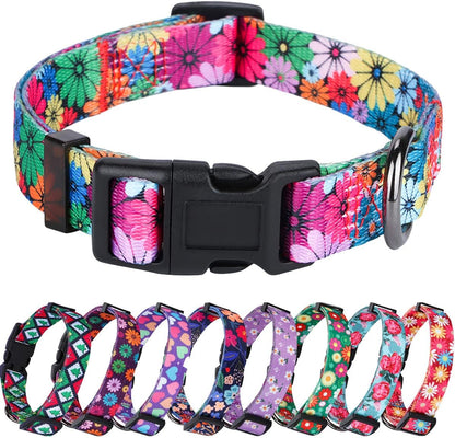 Floral Pattern Dog Collar