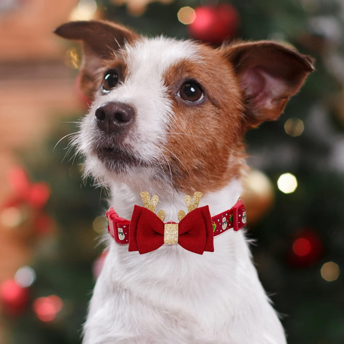 Christmas Dog Collar, Adjustable Xmas Antler Bow Tie