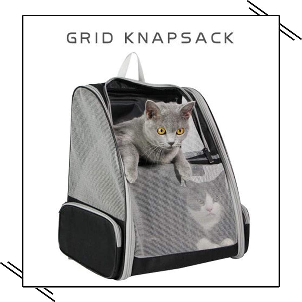 Innovative Bubble Backpack Pet Carrier